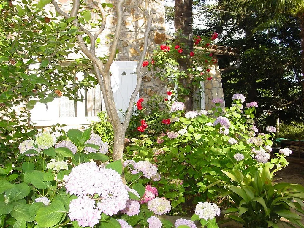 Casasmontseny Villa Arbucies Holiday home